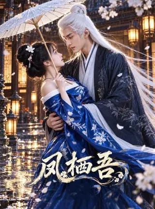凤栖吾